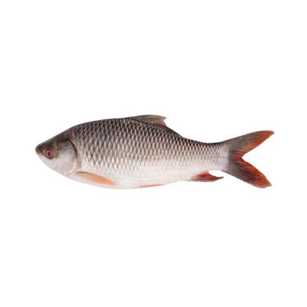 Rui Fish (±50gm) 1.5 kg রুই মাছ